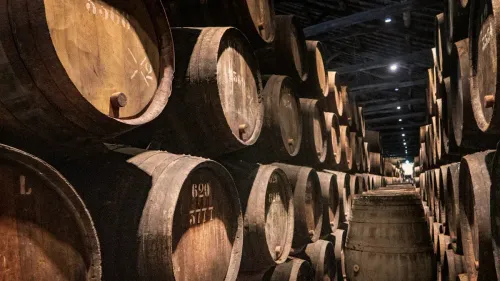 Por Qué Importan las Barricas Fortificadas