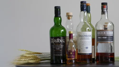 Flavor Profile Comparison